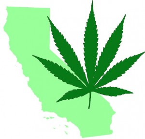 california weed leaf