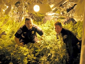 cops bust weed house