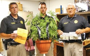 cops weed plant war on drugs
