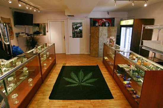 inside marijuana dispensary