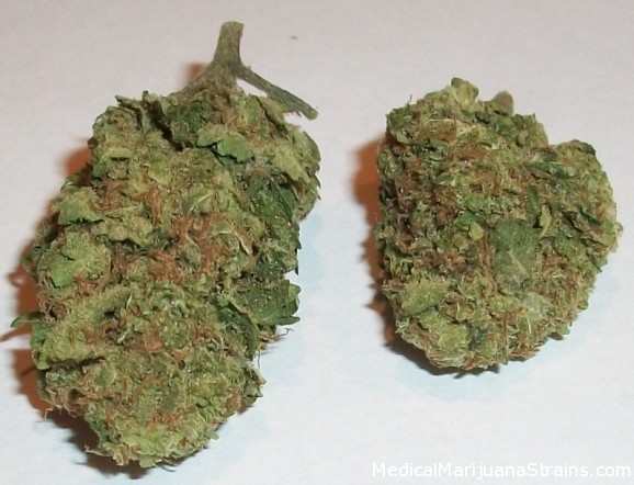 marijuana ak-48