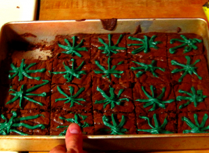 marijuana brownies