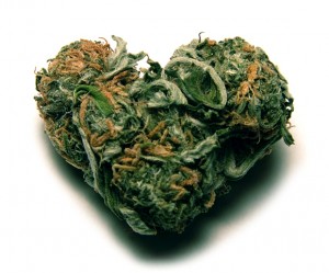 marijuana heart