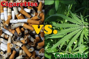 tobacco vs weed