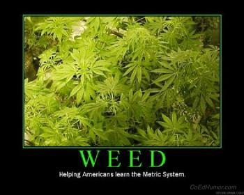 funny weed meme metric system
