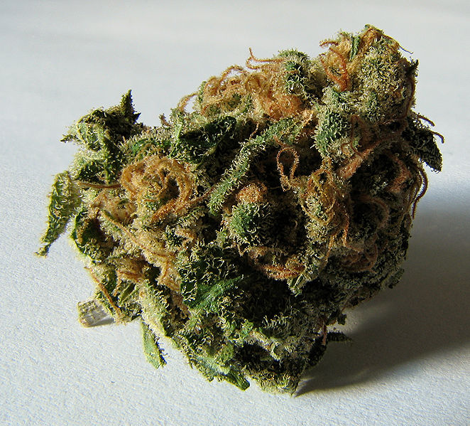 medical cannabis