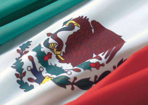 real life flag of mexico